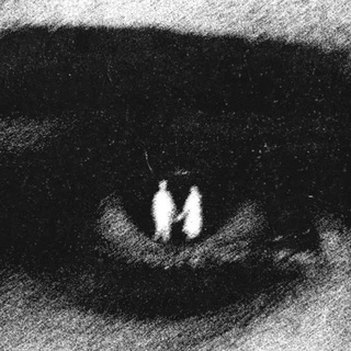 Telegram profile photo for ◜ 𝗪𝘏𝘪𝘵𝘦𝗖𝘳𝘰𝘴s◞