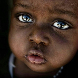 Telegram profile photo for سينما و هنرمندان