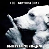 Telegram profile photo for Барабанная студия