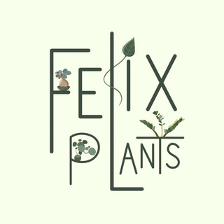 Telegram profile photo for Felix plants🌱