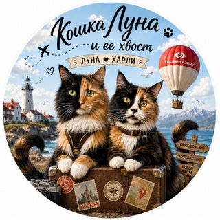 Telegram profile photo for Кошка Луна и ее хвост