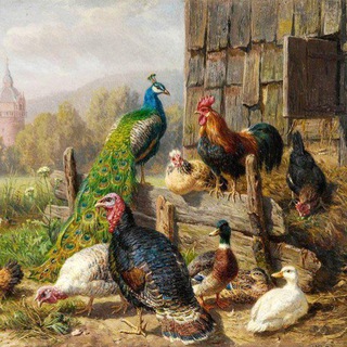 Telegram group profile photo for ПТИЦА РОССИИ🇷🇺🐓🕊️🐔🐣🐤🐥🦢🦆🦚🦃 ( ВСЕ РЕГИОНЫ РФ, + РБ,кому интересно подключаемся : ссылки только ТЕЛЕГРАММ и MAX‼️👍🏻)