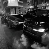 Telegram profile photo for ZHN