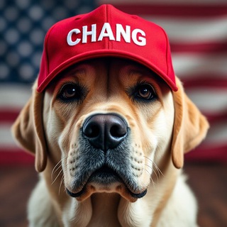 Telegram profile photo for Chang Binance Portal