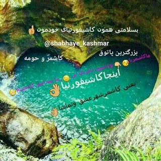 Telegram profile photo for شب های کاشمر