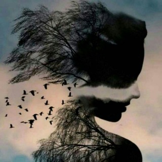Telegram profile photo for شظايا