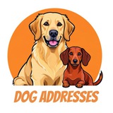 Telegram profile photo for 🐾Dog addresses🐾