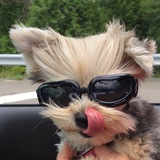 Telegram profile photo for Вайбик