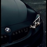 Telegram profile photo for Эхо 😱
