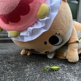 Telegram profile photo for ๐ฎ๐๐๐๐๐๐