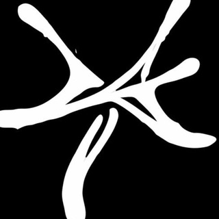 Telegram profile photo for yaizza tech • white-label • igaming