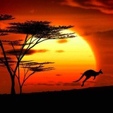 Telegram profile photo for Mysterious Australia