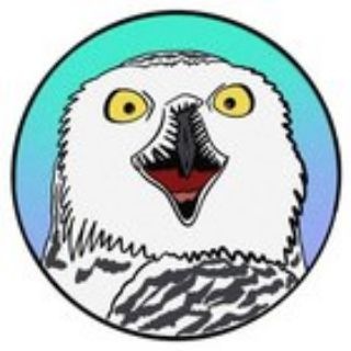 Telegram profile photo for Биполярная сова 🦉 | Про зверят 🐾