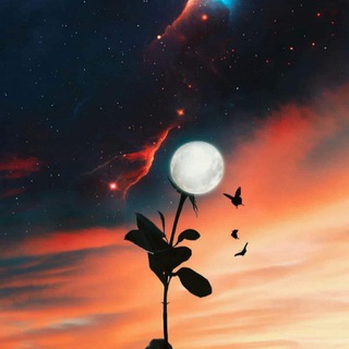 Telegram profile photo for جـبر خـُواطر🍂".