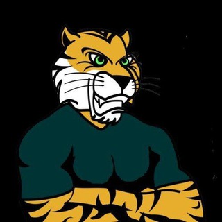 Telegram profile photo for Tiger Insight™ Community