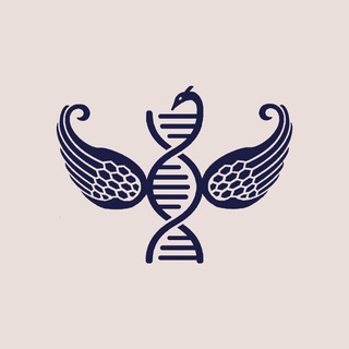 Telegram profile photo for Hinacademy
