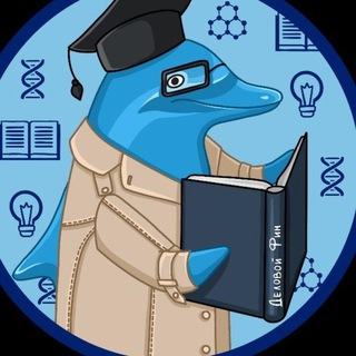 Telegram profile photo for Полезности от Фина и Практикума