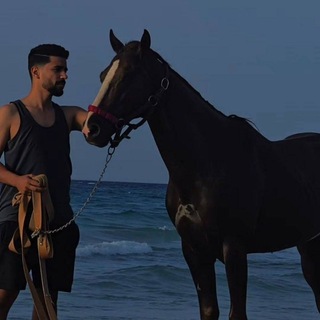 Telegram profile photo for - خليفه الزواوي .