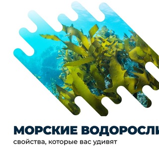 Telegram profile photo for ЗОЖ, Здоровье без лекарств.Thalasso, КРАСОТА. ОТДЫХ. ПОДАРКИ.КОЛЛАБОРАЦИЯ Татьанна ХАрловаЧеглакОва