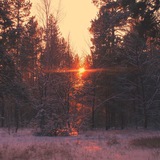 Telegram profile photo for Не бойся.