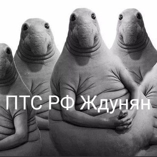 Telegram profile photo for Клуб армянских машин 🇦🇲