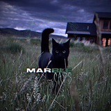 Telegram profile photo for marble cats