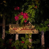 Telegram profile photo for حَورَاء مُحَمَّدْ