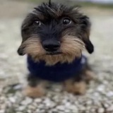 Telegram profile photo for george floyd channel