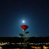 Telegram profile photo for йахшилико хамаси🫀