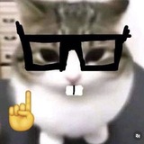 Telegram profile photo for kat