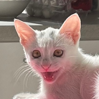 Telegram profile photo for ИДА 🤍