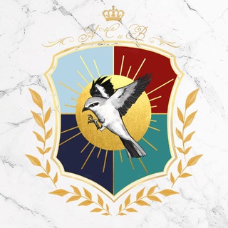 Telegram profile photo for По ту сторону Академии || 16+