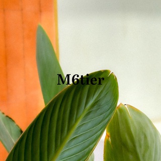 Telegram profile photo for M6tier