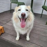 Telegram profile photo for coop