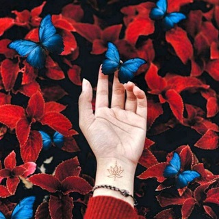 Telegram profile photo for 🦋⚘keçik|کچێک⚘🦋