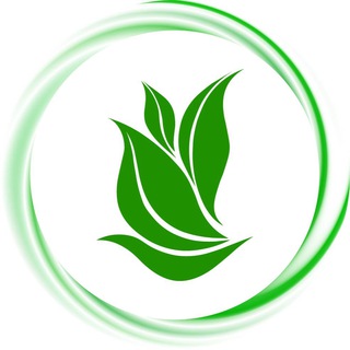 Telegram profile photo for LaminaLife