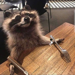 Telegram profile photo for ° Логово Енота °