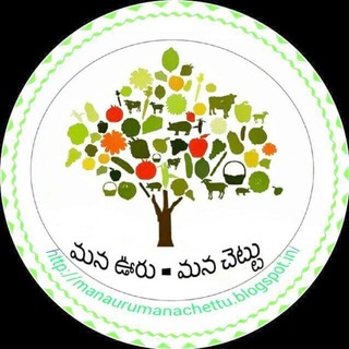 Telegram profile photo for 🌱మనఊరు-మనచెట్టు🌱✍📣