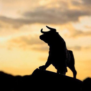 Telegram profile photo for Fit Miyiz?