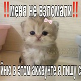 Telegram profile photo for |ПЕРЕЕЗД|🌲Лес Деда Шишки🌲