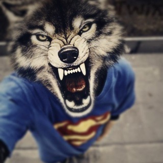 Telegram profile photo for слава улыбашкин
