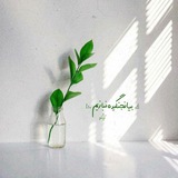 Telegram profile photo for ماریا🌱
