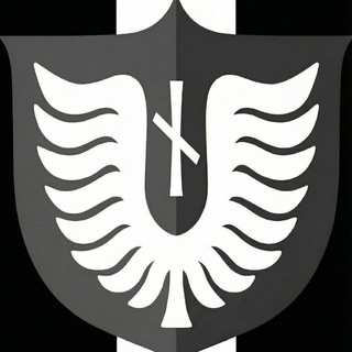 Telegram profile photo for JOTUNHEIMᚾDIVISION