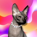Telegram profile photo for Мяо-яо