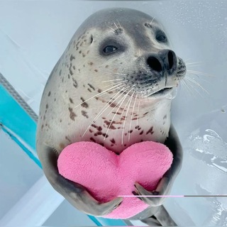 Telegram profile photo for 9099ое чистилище