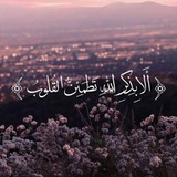Telegram profile photo for القران الكريم