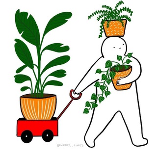 Telegram profile photo for Master_Plant