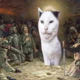 Telegram profile photo for Каракули Аки