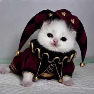 Telegram profile photo for Админы чича и его друзья