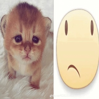 Telegram profile photo for домик отмены
